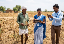 ರಾಯಚೂರಿನ 3 ತಾಲೂಕು ಬರಪೀಡಿತ ಪಟ್ಟಿಗೆ: ಸಿಂಧನೂರು, ಸಿರವಾರ ತೀವ್ರ ಬರ ಅರ್ಹ, ಮಾನ್ವಿ ಸಾಧಾರಣ